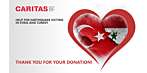 Fundraiser for Syria and Turkey - Thank you