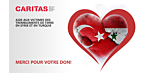 Collecte de fonds pour la Syrie et la Turquie - Merci