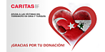 Recaudación de fondos para Siria y Turquía - Gracias