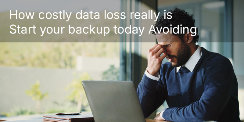 How costly data loss really is—start your backup today Avoiding