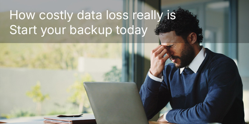 How costly data loss really is—start your backup today Avoiding