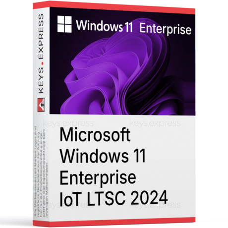 Microsoft Windows 11 Enterprise IoT LTSC 2024 Key (20 PC)