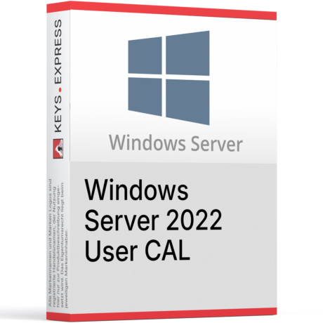 Microsoft Server 2022 User CAL