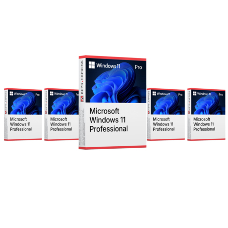 Microsoft Windows 11 Pro (5 Keys)