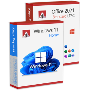 Microsoft Office 2021 Standard & Win 11 Home Keys