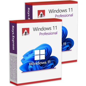 Microsoft Windows 11 Pro (2 Keys)