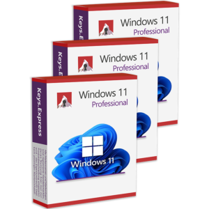 Microsoft Windows 11 Pro (3 Keys)