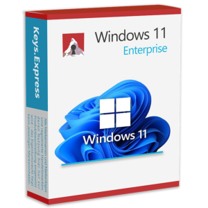 Microsoft Windows 11 Enterprise Key