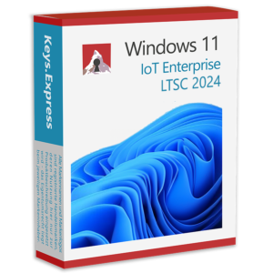 Microsoft Windows 11 Enterprise IoT LTSC 2024 Key