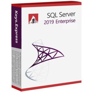 Microsoft SQL Server 2019 Enterprise 2-Core Key