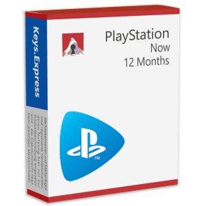 PlayStation Now 12 Months