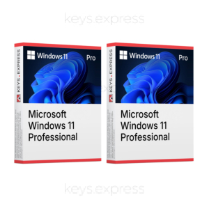 Microsoft Windows 11 Pro (2 Keys)