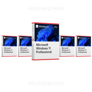 Microsoft Windows 11 Pro (5 Keys)