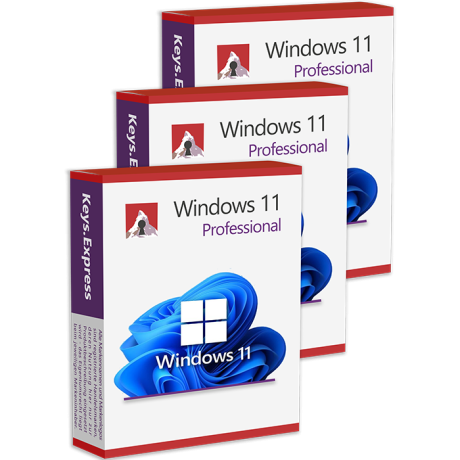 Microsoft Windows 11 Pro (3 Keys)