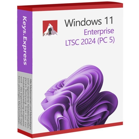 Windows 11 Enterprise LTSC 2024 Key (5 PC)