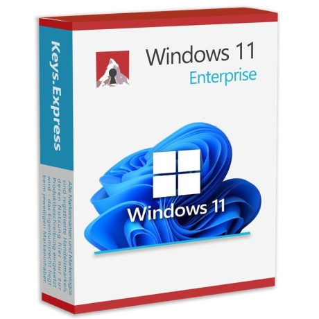 Microsoft Windows 11 Enterprise Key (5 PC)
