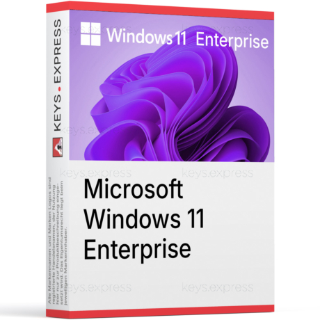 Microsoft Windows 11 Enterprise Key (20 PC)