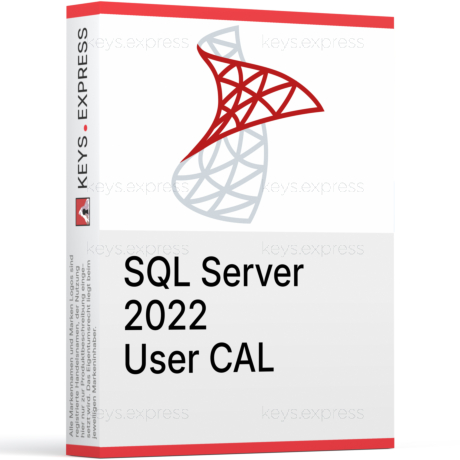 Microsoft SQL 2022 User CAL Key (1)