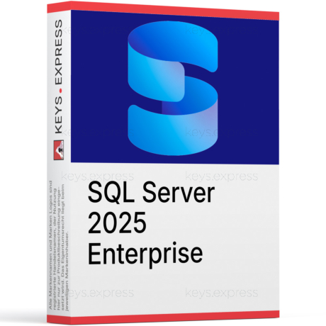 Microsoft SQL Server 2025 Enterprise 2-Core Key