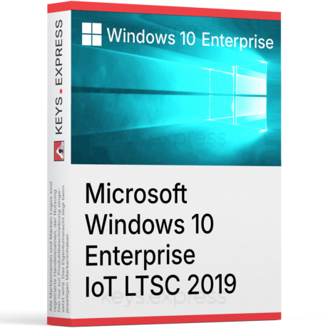 Microsoft Windows 10 Enterprise IoT LTSC 2019 Key