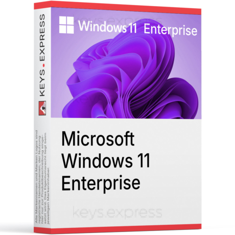 Microsoft Windows 11 Enterprise Key (5 PC)