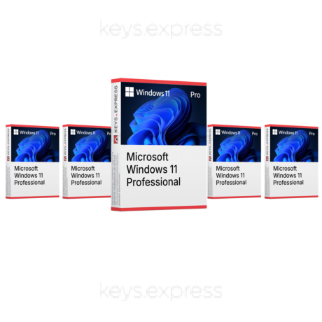 Microsoft Windows 11 Pro (5 Keys)