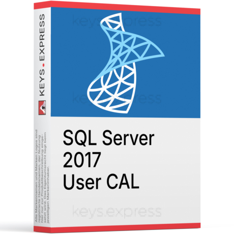 Microsoft SQL 2017 User CAL Key (1)