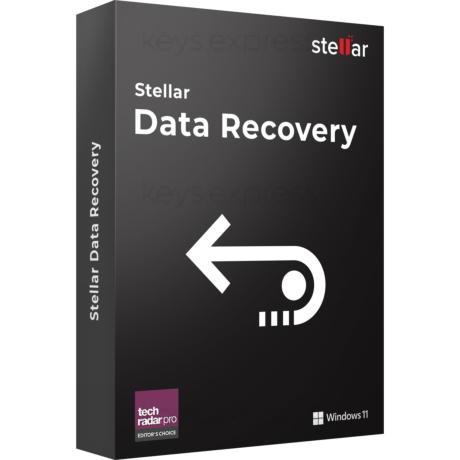 Stellar Data Recovery 12