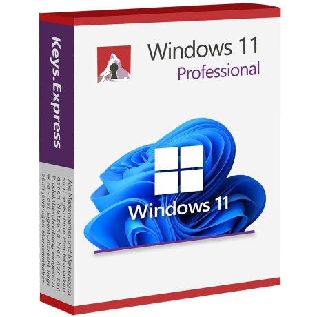 Windows 11 Professional Key