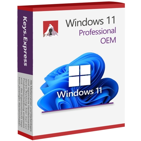 Windows 11 Professional OEM Key