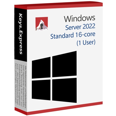 Microsoft Server 2022 Standard 16-core Key (1 User)