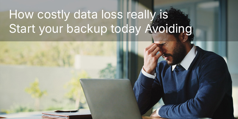How costly data loss really is—start your backup today Avoiding