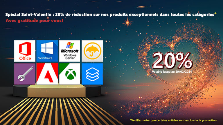 Promotion exclusive de la Saint-Valentin avec 20% 